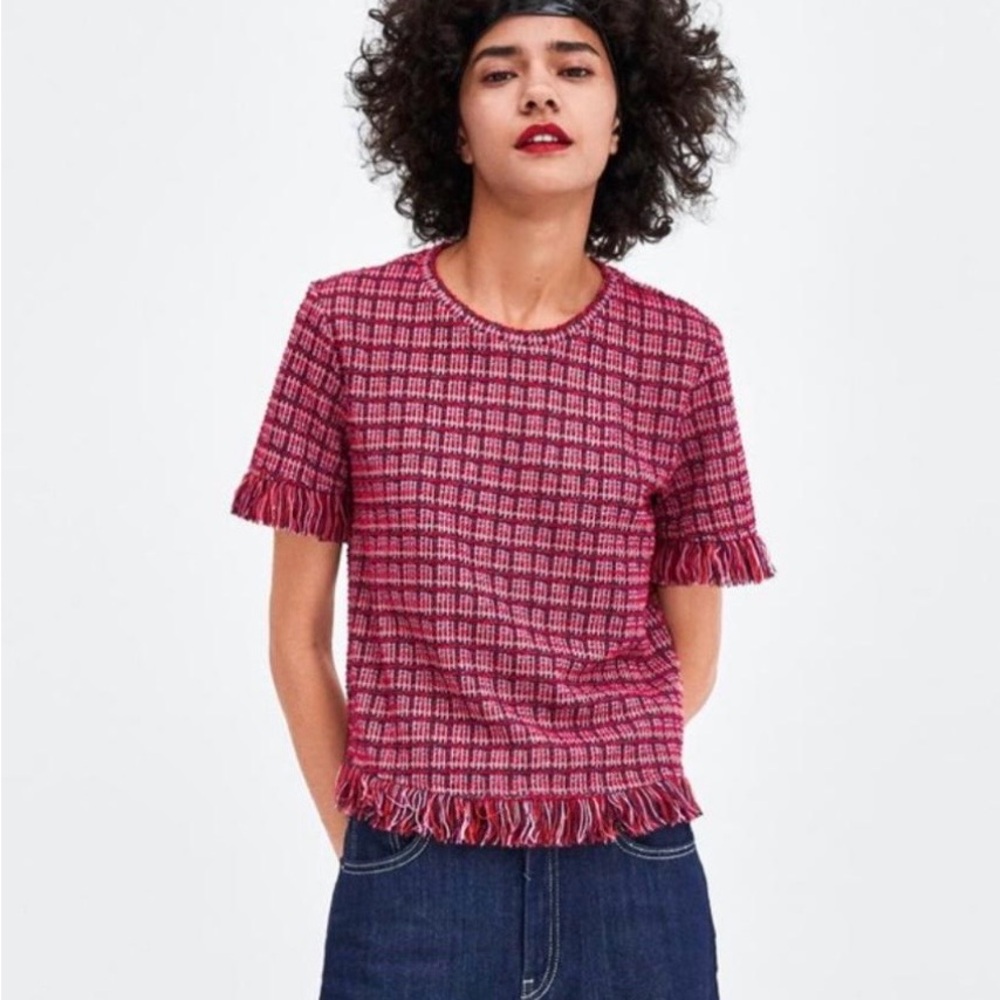 Zara Pink Fringe Short Sleeve Top